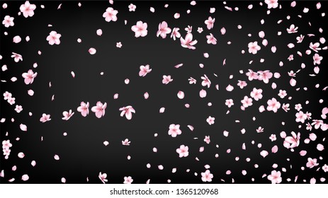 Nice Sakura Blossom Isolated Vector. Spring Showering 3d Petals Wedding Frame. Japanese Funky Flowers Wallpaper. Valentine, Mother's Day Feminine Nice Sakura Blossom Isolated on Black