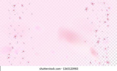 Nice Sakura Blossom Isolated Vector. Realistic Blowing 3d Petals Wedding Border. Japanese Oriental Flowers Wallpaper. Valentine, Mother's Day Tender Nice Sakura Blossom Isolated on Rose