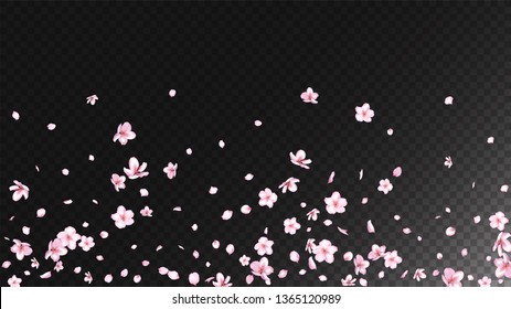 Nice Sakura Blossom Isolated Vector. Magic Blowing 3d Petals Wedding Pattern. Japanese Blooming Flowers Illustration. Valentine, Mother's Day Tender Nice Sakura Blossom Isolated on Black