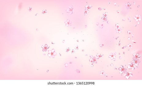 Nice Sakura Blossom Isolated Vector. Magic Flying 3d Petals Wedding Frame. Japanese Funky Flowers Wallpaper. Valentine, Mother's Day Realistic Nice Sakura Blossom Isolated on Rose