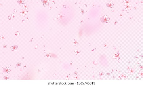 Nice Sakura Blossom Isolated Vector. Feminine Showering 3d Petals Wedding Pattern. Japanese Bokeh Flowers Illustration. Valentine, Mother's Day Beautiful Nice Sakura Blossom Isolated on Rose