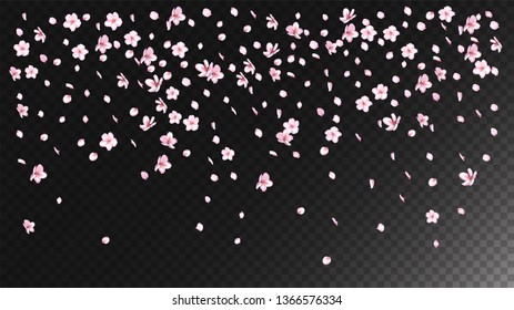 Nice Sakura Blossom Isolated Vector. Tender Falling 3d Petals Wedding Texture. Japanese Nature Flowers Wallpaper. Valentine, Mother's Day Watercolor Nice Sakura Blossom Isolated on Black