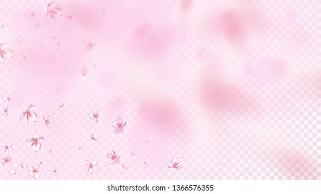 Nice Sakura Blossom Isolated Vector. Watercolor Blowing 3d Petals Wedding Design. Japanese Style Flowers Illustration. Valentine, Mother's Day Spring Nice Sakura Blossom Isolated on Rose