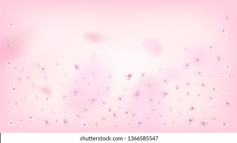 Nice Sakura Blossom Isolated Vector. Beautiful Falling 3d Petals Wedding Pattern. Japanese Style Flowers Wallpaper. Valentine, Mother's Day Beautiful Nice Sakura Blossom Isolated on Rose