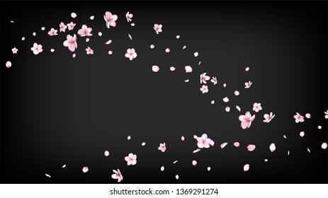 Nice Sakura Blossom Isolated Vector. Pastel Blowing 3d Petals Wedding Pattern. Japanese Blurred Flowers Wallpaper. Valentine, Mother's Day Summer Nice Sakura Blossom Isolated on Black