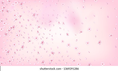 Nice Sakura Blossom Isolated Vector. Pastel Falling 3d Petals Wedding Border. Japanese Bokeh Flowers Wallpaper. Valentine, Mother's Day Tender Nice Sakura Blossom Isolated on Rose