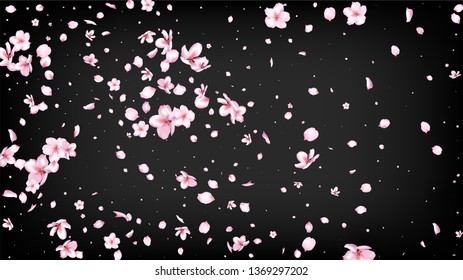 Nice Sakura Blossom Isolated Vector. Summer Falling 3d Petals Wedding Paper. Japanese Beauty Spa Flowers Illustration. Valentine, Mother's Day Spring Nice Sakura Blossom Isolated on Black