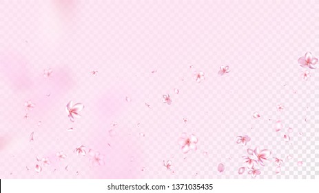 Nice Sakura Blossom Isolated Vector. Watercolor Flying 3d Petals Wedding Texture. Japanese Blooming Flowers Wallpaper. Valentine, Mother's Day Summer Nice Sakura Blossom Isolated on Rose