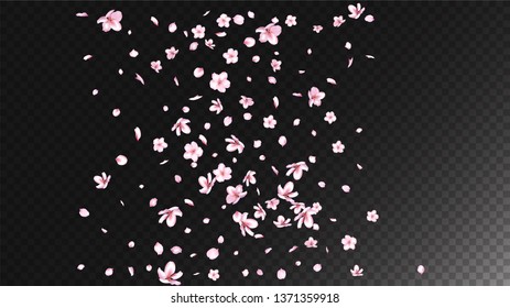 Nice Sakura Blossom Isolated Vector. Summer Falling 3d Petals Wedding Frame. Japanese Style Flowers Illustration. Valentine, Mother's Day Summer Nice Sakura Blossom Isolated on Black