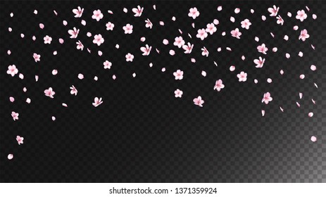 Nice Sakura Blossom Isolated Vector. Feminine Blowing 3d Petals Wedding Border. Japanese Beauty Spa Flowers Wallpaper. Valentine, Mother's Day Summer Nice Sakura Blossom Isolated on Black