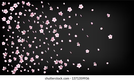 Nice Sakura Blossom Isolated Vector. Summer Falling 3d Petals Wedding Paper. Japanese Nature Flowers Illustration. Valentine, Mother's Day Magic Nice Sakura Blossom Isolated on Black