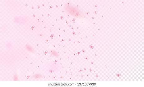 Nice Sakura Blossom Isolated Vector. Feminine Falling 3d Petals Wedding Pattern. Japanese Gradient Flowers Wallpaper. Valentine, Mother's Day Feminine Nice Sakura Blossom Isolated on Rose