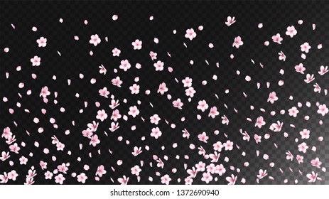 Nice Sakura Blossom Isolated Vector. Feminine Falling 3d Petals Wedding Frame. Japanese Nature Flowers Wallpaper. Valentine, Mother's Day Beautiful Nice Sakura Blossom Isolated on Black
