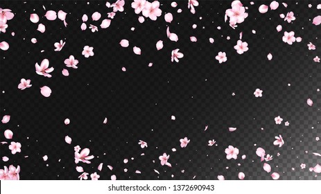 Nice Sakura Blossom Isolated Vector. Summer Flying 3d Petals Wedding Texture. Japanese Bokeh Flowers Illustration. Valentine, Mother's Day Spring Nice Sakura Blossom Isolated on Black