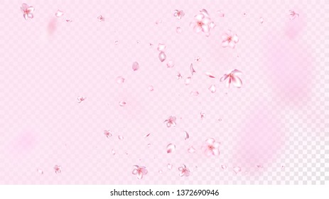 Nice Sakura Blossom Isolated Vector. Pastel Flying 3d Petals Wedding Pattern. Japanese Bokeh Flowers Illustration. Valentine, Mother's Day Beautiful Nice Sakura Blossom Isolated on Rose