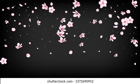 Nice Sakura Blossom Isolated Vector. Pastel Blowing 3d Petals Wedding Paper. Japanese Blooming Flowers Wallpaper. Valentine, Mother's Day Summer Nice Sakura Blossom Isolated on Black