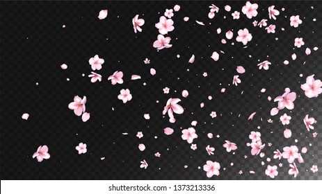 Nice Sakura Blossom Isolated Vector. Feminine Falling 3d Petals Wedding Paper. Japanese Beauty Spa Flowers Illustration. Valentine, Mother's Day Watercolor Nice Sakura Blossom Isolated on Black