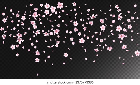 Nice Sakura Blossom Isolated Vector. Pastel Flying 3d Petals Wedding Design. Japanese Blurred Flowers Illustration. Valentine, Mother's Day Watercolor Nice Sakura Blossom Isolated on Black