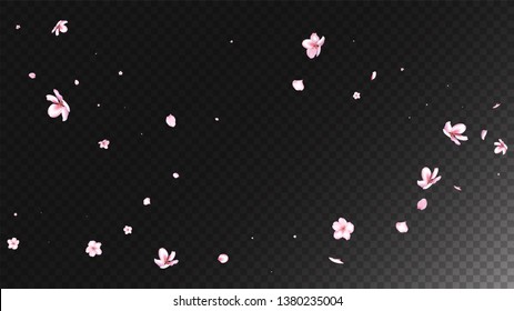 Nice Sakura Blossom Isolated Vector. Realistic Blowing 3d Petals Wedding Design. Japanese Blooming Flowers Illustration. Valentine, Mother's Day Pastel Nice Sakura Blossom Isolated on Black
