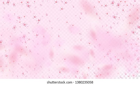 Nice Sakura Blossom Isolated Vector. Magic Falling 3d Petals Wedding Pattern. 