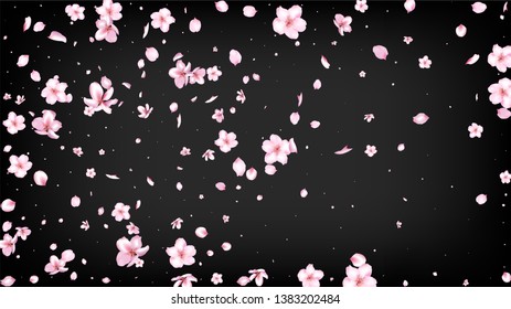 Nice Sakura Blossom Isolated Vector. Spring Falling 3d Petals Wedding Design. Japanese Oriental Flowers Illustration. Valentine, Mother's Day Watercolor Nice Sakura Blossom Isolated on Black