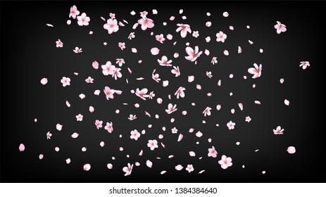 Nice Sakura Blossom Isolated Vector. Watercolor Falling 3d Petals Wedding Pattern. Japanese Blooming Flowers Wallpaper. Valentine, Mother's Day Summer Nice Sakura Blossom Isolated on Black