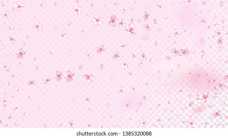 Nice Sakura Blossom Isolated Vector. Magic Blowing 3d Petals Wedding Frame. Japanese Bokeh Flowers Illustration. Valentine, Mother's Day Watercolor Nice Sakura Blossom Isolated on Rose