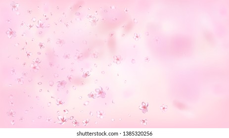 Nice Sakura Blossom Isolated Vector. Summer Blowing 3d Petals Wedding Pattern. Japanese Beauty Spa Flowers Wallpaper. Valentine, Mother's Day Realistic Nice Sakura Blossom Isolated on Rose