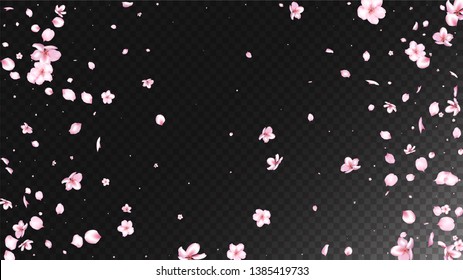 Nice Sakura Blossom Isolated Vector. Feminine Flying 3d Petals Wedding Pattern. Japanese Blurred Flowers Wallpaper. Valentine, Mother's Day Realistic Nice Sakura Blossom Isolated on Black