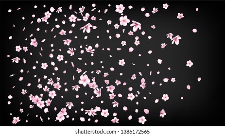 Nice Sakura Blossom Isolated Vector. Feminine Falling 3d Petals Wedding Border. Japanese Funky Flowers Illustration. Valentine, Mother's Day Magic Nice Sakura Blossom Isolated on Black