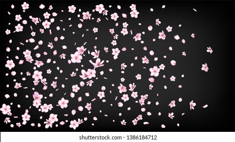 Nice Sakura Blossom Isolated Vector. Spring Falling 3d Petals Wedding Border. Japanese Oriental Flowers Wallpaper. Valentine, Mother's Day Feminine Nice Sakura Blossom Isolated on Black