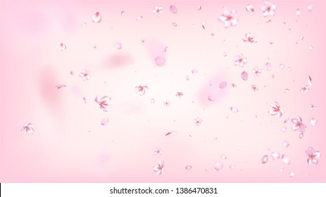 Nice Sakura Blossom Isolated Vector. Tender Flying 3d Petals Wedding Pattern. Japanese Beauty Spa Flowers Illustration. Valentine, Mother's Day Beautiful Nice Sakura Blossom Isolated on Rose