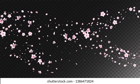 Nice Sakura Blossom Isolated Vector. Pastel Showering 3d Petals Wedding Paper. Japanese Gradient Flowers Wallpaper. Valentine, Mother's Day Spring Nice Sakura Blossom Isolated on Black