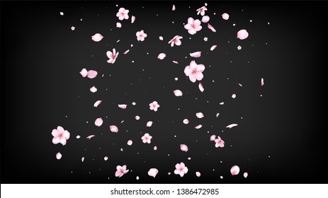 Nice Sakura Blossom Isolated Vector. Pastel Showering 3d Petals Wedding Pattern. Japanese Bokeh Flowers Illustration. Valentine, Mother's Day Feminine Nice Sakura Blossom Isolated on Black