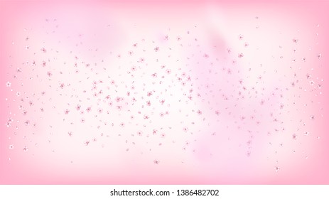 Nice Sakura Blossom Isolated Vector. Pastel Falling 3d Petals Wedding Texture. Japanese Beauty Spa Flowers Illustration. Valentine, Mother's Day Feminine Nice Sakura Blossom Isolated on Rose