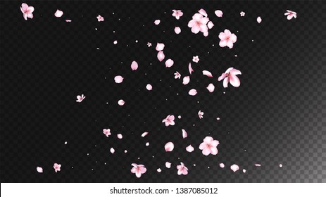 Nice Sakura Blossom Isolated Vector. Realistic Blowing 3d Petals Wedding Border. Japanese Nature Flowers Illustration. Valentine, Mother's Day Feminine Nice Sakura Blossom Isolated on Black
