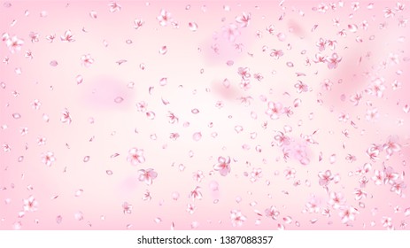 Nice Sakura Blossom Isolated Vector. Realistic Showering 3d Petals Wedding Paper. Japanese Funky Flowers Wallpaper. Valentine, Mother's Day Feminine Nice Sakura Blossom Isolated on Rose
