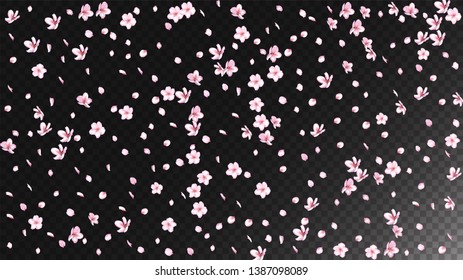 Nice Sakura Blossom Isolated Vector. Pastel Flying 3d Petals Wedding Pattern. Japanese Oriental Flowers Wallpaper. Valentine, Mother's Day Tender Nice Sakura Blossom Isolated on Black