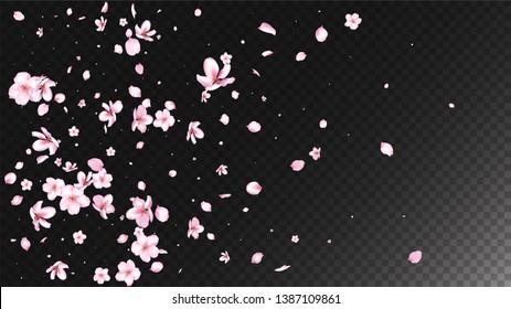 Nice Sakura Blossom Isolated Vector. Realistic Showering 3d Petals Wedding Paper. Japanese Oriental Flowers Wallpaper. Valentine, Mother's Day Pastel Nice Sakura Blossom Isolated on Black