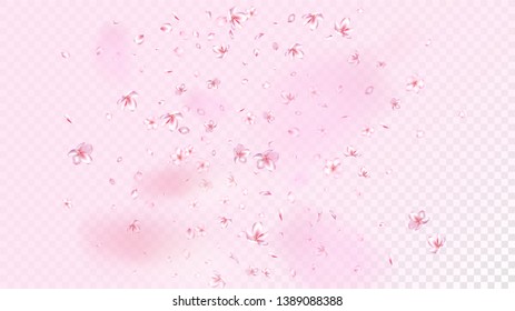 Nice Sakura Blossom Isolated Vector. Beautiful Showering 3d Petals Wedding Frame. Japanese Funky Flowers Illustration. Valentine, Mother's Day Tender Nice Sakura Blossom Isolated on Rose