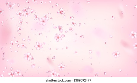 Nice Sakura Blossom Isolated Vector. Feminine Blowing 3d Petals Wedding Paper. Japanese Blooming Flowers Illustration. Valentine, Mother's Day Summer Nice Sakura Blossom Isolated on Rose