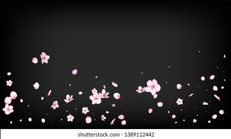 Nice Sakura Blossom Isolated Vector. Magic Flying 3d Petals Wedding Border. Japanese Gradient Flowers Illustration. Valentine, Mother's Day Spring Nice Sakura Blossom Isolated on Black