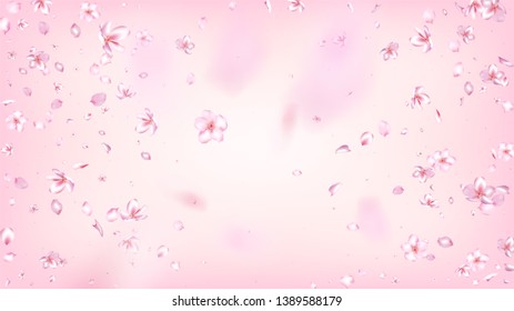 Nice Sakura Blossom Isolated Vector. Pastel Blowing 3d Petals Wedding Frame. Japanese Style Flowers Illustration. Valentine, Mother's Day Realistic Nice Sakura Blossom Isolated on Rose