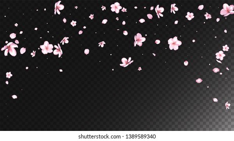 Nice Sakura Blossom Isolated Vector. Pastel Falling 3d Petals Wedding Pattern. Japanese Blooming Flowers Illustration. Valentine, Mother's Day Beautiful Nice Sakura Blossom Isolated on Black