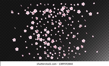 Nice Sakura Blossom Isolated Vector. Summer Falling 3d Petals Wedding Paper. Japanese Blurred Flowers Illustration. Valentine, Mother's Day Magic Nice Sakura Blossom Isolated on Black