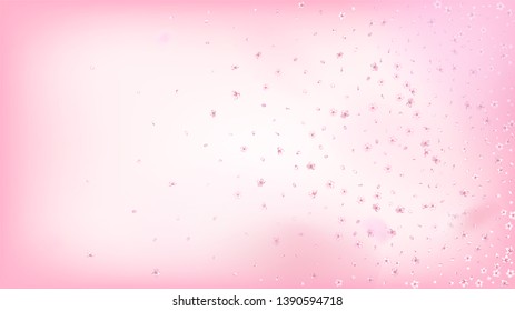 Nice Sakura Blossom Isolated Vector. Summer Showering 3d Petals Wedding Paper. Japanese Bokeh Flowers Wallpaper. Valentine, Mother's Day Pastel Nice Sakura Blossom Isolated on Rose