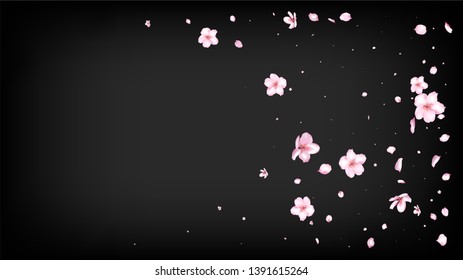 Nice Sakura Blossom Isolated Vector. Pastel Falling 3d Petals Wedding Frame. Japanese Beauty Spa Flowers Wallpaper. Valentine, Mother's Day Watercolor Nice Sakura Blossom Isolated on Black