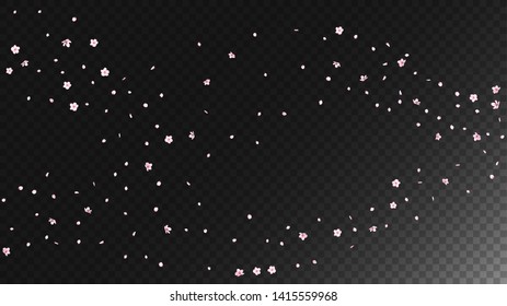 Nice Sakura Blossom Isolated Vector. Magic Blowing 3d Petals Wedding Frame. Japanese Blurred Flowers Wallpaper. Valentine, Mother's Day Realistic Nice Sakura Blossom Isolated on Black
