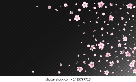 Nice Sakura Blossom Isolated Vector. Feminine Showering 3d Petals Wedding Texture. Japanese Gradient Flowers Illustration. Valentine, Mother's Day Spring Nice Sakura Blossom Isolated on Black