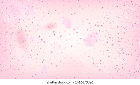 Nice Sakura Blossom Isolated Vector. Summer Showering 3d Petals Wedding Design. Japanese Gradient Flowers Wallpaper. Valentine, Mother's Day Tender Nice Sakura Blossom Isolated on Rose